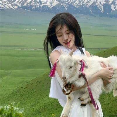 百武装战记